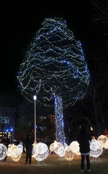 Illuminations in Misawa